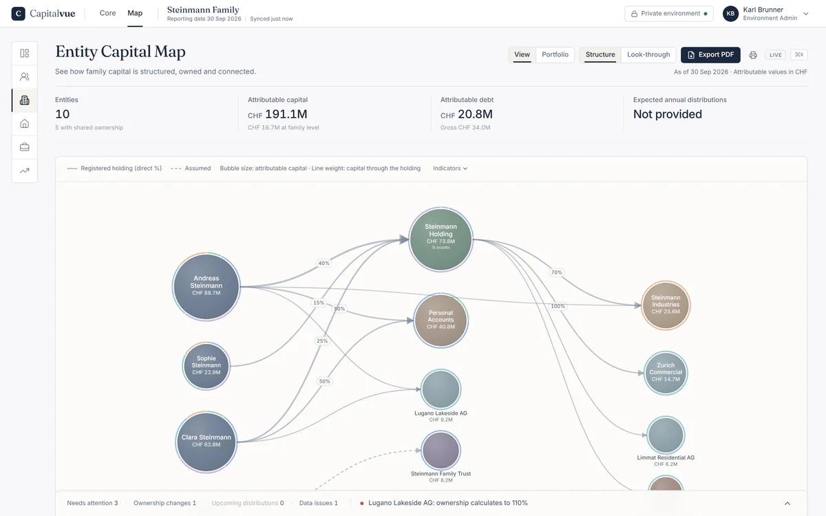 Capitalvue Map, the web application: family members and entities of the Steinmann family connected by ownership shares, sized by attributable capital.