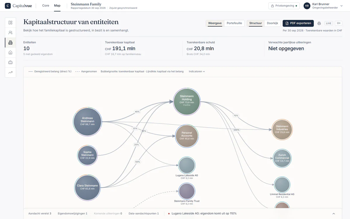 Capitalvue Map, de webapplicatie: familieleden en entiteiten van de familie Steinmann, verbonden via eigendomsbelangen, met de grootte naar toerekenbaar kapitaal.